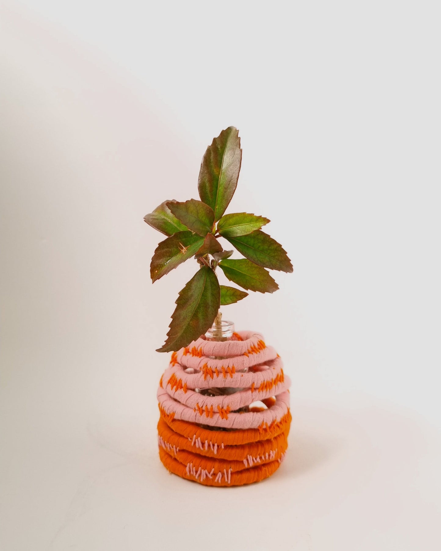 Pink Vessel