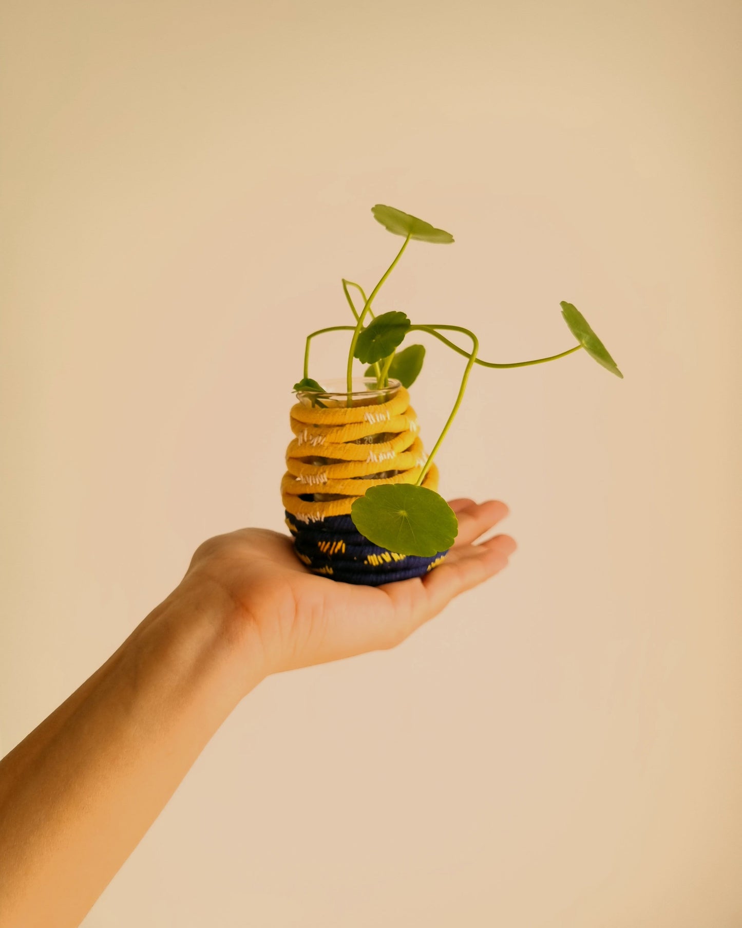 Yellow Vessel