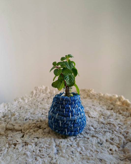 Indigo Vessels